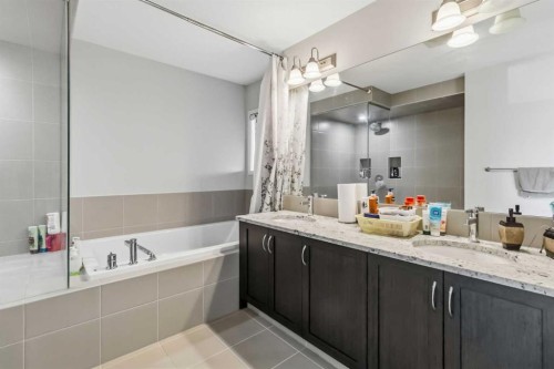 62 Wolf Hollow Way Se, Calgary, AB - Indoor Photo Showing Bathroom