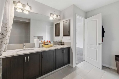 62 Wolf Hollow Way Se, Calgary, AB - Indoor Photo Showing Bathroom