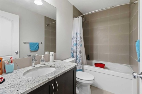 62 Wolf Hollow Way Se, Calgary, AB - Indoor Photo Showing Bathroom
