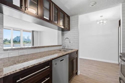 404-429 14 Street Nw, Calgary, AB - Indoor Photo Showing Kitchen With Double Sink