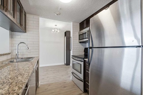 404-429 14 Street Nw, Calgary, AB - Indoor Photo Showing Kitchen With Double Sink With Upgraded Kitchen