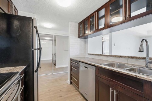 404-429 14 Street Nw, Calgary, AB - Indoor Photo Showing Kitchen With Double Sink