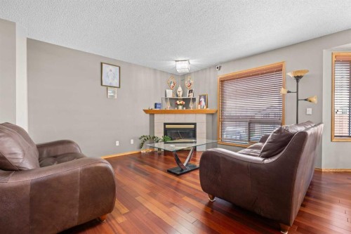 47 Coral Springs Close, Calgary, AB - Indoor Photo Showing Living Room With Fireplace