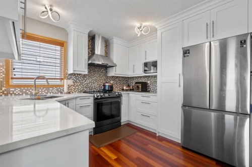 47 Coral Springs Close, Calgary, AB - Indoor Photo Showing Kitchen With Upgraded Kitchen