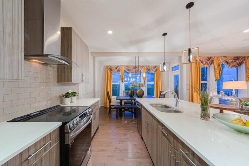 138 Copperpond Street Se, Calgary, AB - Indoor Photo Showing Kitchen With Double Sink With Upgraded Kitchen