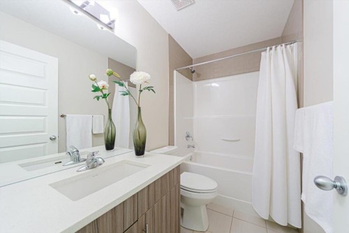 138 Copperpond Street Se, Calgary, AB - Indoor Photo Showing Bathroom