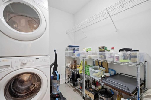 419-46 9 Street Ne, Calgary, AB - Indoor Photo Showing Laundry Room