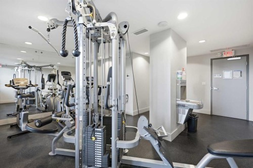 419-46 9 Street Ne, Calgary, AB - Indoor Photo Showing Gym Room