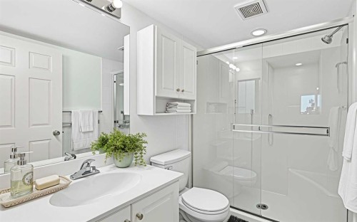 209-260 Shawville Way Se, Calgary, AB - Indoor Photo Showing Bathroom