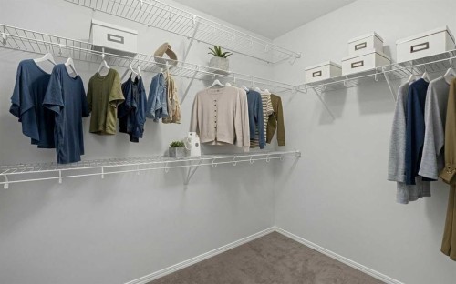 209-260 Shawville Way Se, Calgary, AB - Indoor With Storage