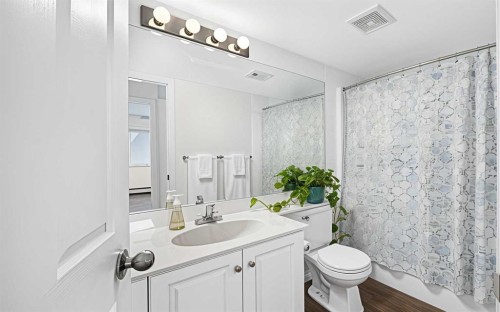 209-260 Shawville Way Se, Calgary, AB - Indoor Photo Showing Bathroom