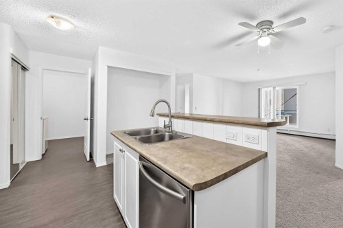 209-260 Shawville Way Se, Calgary, AB - Indoor Photo Showing Kitchen With Double Sink