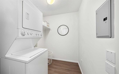 209-260 Shawville Way Se, Calgary, AB - Indoor Photo Showing Laundry Room