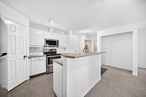 209-260 Shawville Way Se, Calgary, AB - Indoor Photo Showing Kitchen With Stainless Steel Kitchen