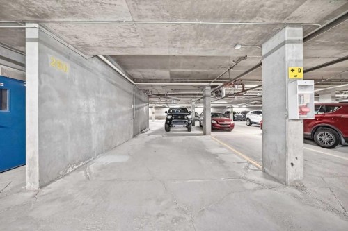 209-260 Shawville Way Se, Calgary, AB - Indoor Photo Showing Garage