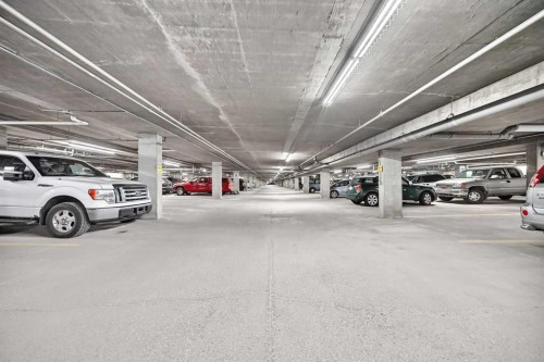 209-260 Shawville Way Se, Calgary, AB - Indoor Photo Showing Garage