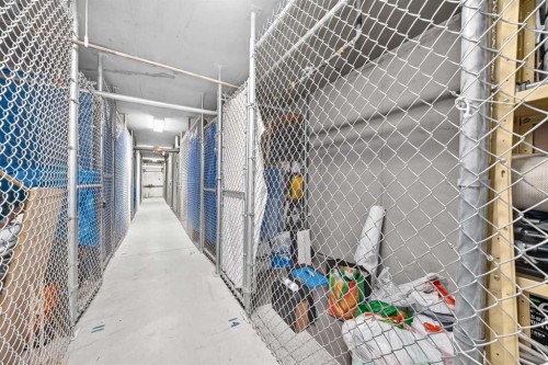 209-260 Shawville Way Se, Calgary, AB - Indoor With Storage