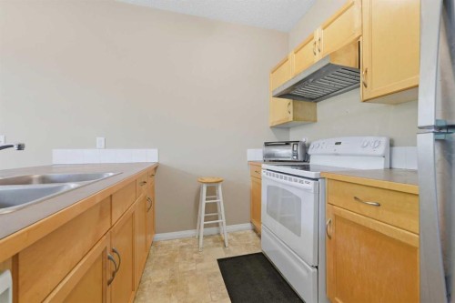 124 Everridge Gardens Sw, Calgary, AB - Indoor Photo Showing Kitchen With Double Sink