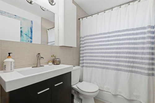96 Waterloo Drive Sw, Calgary, AB - Indoor Photo Showing Bathroom