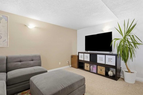 96 Waterloo Drive Sw, Calgary, AB - Indoor