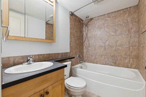 405-340 4 Avenue Ne, Calgary, AB - Indoor Photo Showing Bathroom