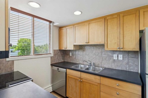 405-340 4 Avenue Ne, Calgary, AB - Indoor Photo Showing Kitchen With Double Sink