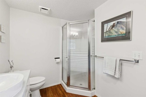 98 River Rock Way Se, Calgary, AB - Indoor Photo Showing Bathroom