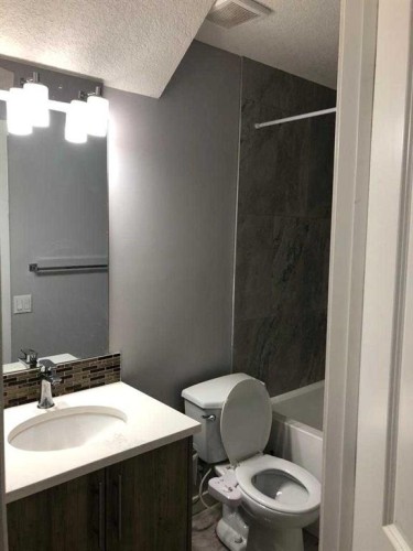 50 Tarawood Lane Ne, Calgary, AB - Indoor Photo Showing Bathroom