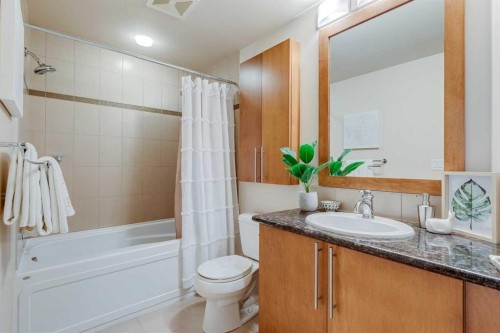 206-817 15 Avenue Sw, Calgary, AB - Indoor Photo Showing Bathroom