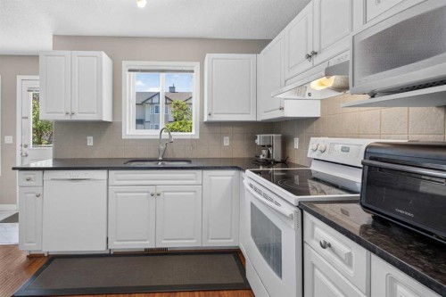 118 Royal Birch Villas Nw, Calgary, AB - Indoor Photo Showing Kitchen With Double Sink