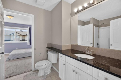 118 Royal Birch Villas Nw, Calgary, AB - Indoor Photo Showing Bathroom