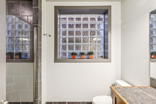 2033 Bowness Road Nw, Calgary, AB - Indoor Photo Showing Bathroom