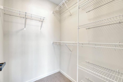 244 Marmot Grove Nw, Calgary, AB 