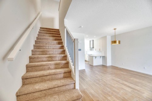 244 Marmot Grove Nw, Calgary, AB 