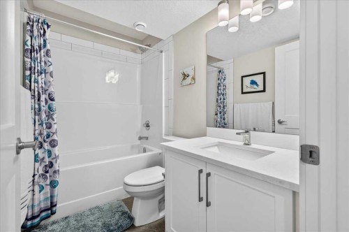 1066 Creekside Boulevard Sw, Calgary, AB - Indoor Photo Showing Bathroom