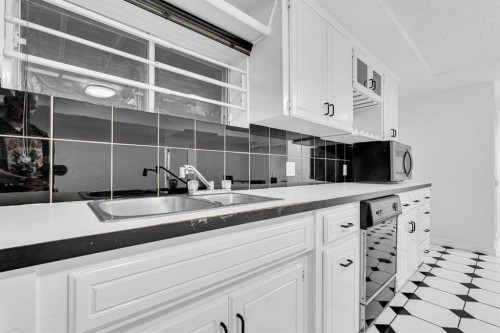 6716 37 Avenue Ne, Calgary, AB - Indoor Photo Showing Kitchen With Double Sink