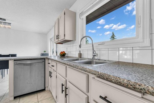 6716 37 Avenue Ne, Calgary, AB - Indoor Photo Showing Kitchen With Double Sink
