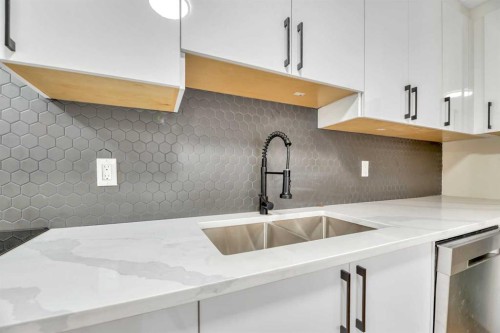 8-75 Templemont Way Ne, Calgary, AB - Indoor Photo Showing Kitchen With Double Sink