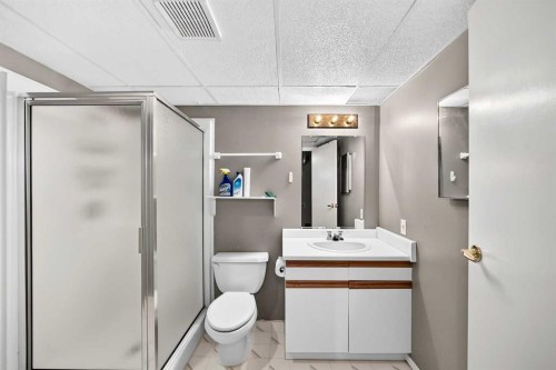 3516 26A Street Se, Calgary, AB - Indoor Photo Showing Bathroom