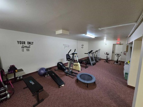 3516 26A Street Se, Calgary, AB - Indoor Photo Showing Gym Room