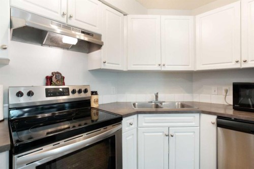 210-2000 Applevillage Court Se, Calgary, AB - Indoor Photo Showing Kitchen With Double Sink