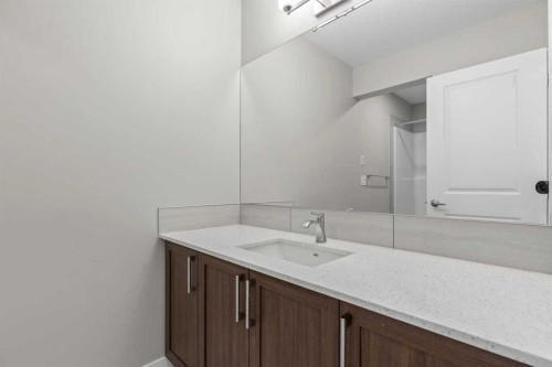 109 Mallard Grove Se, Calgary, AB - Indoor Photo Showing Bathroom