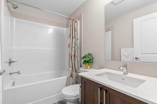 109 Mallard Grove Se, Calgary, AB - Indoor Photo Showing Bathroom