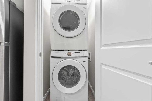 109 Mallard Grove Se, Calgary, AB - Indoor Photo Showing Laundry Room