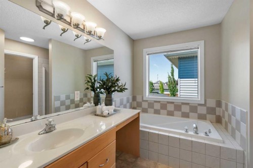 292 Coville Close Ne, Calgary, AB - Indoor Photo Showing Bathroom