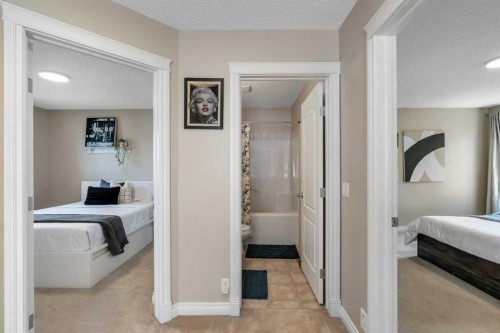 292 Coville Close Ne, Calgary, AB - Indoor