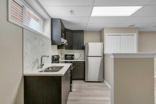 292 Coville Close Ne, Calgary, AB - Indoor Photo Showing Kitchen With Double Sink