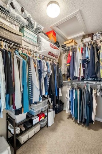 50 Springborough Crescent Sw, Calgary, AB - Indoor With Storage