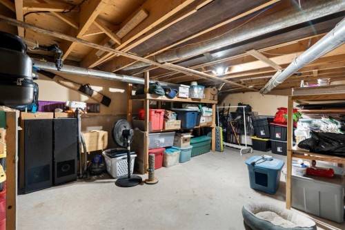 48 Deermont Way Se, Calgary, AB - Indoor Photo Showing Basement