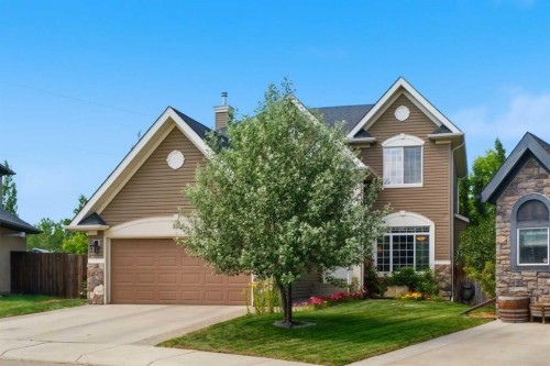 331 Parkmere Green, Chestermere, AB - Outdoor